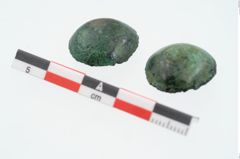 Foto von Bronzeknopf (NHMW-PRAE-026186)